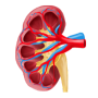 chronic-kidney treatment by dr-aman-chandra-deshpande-best-urologist-hyderabad